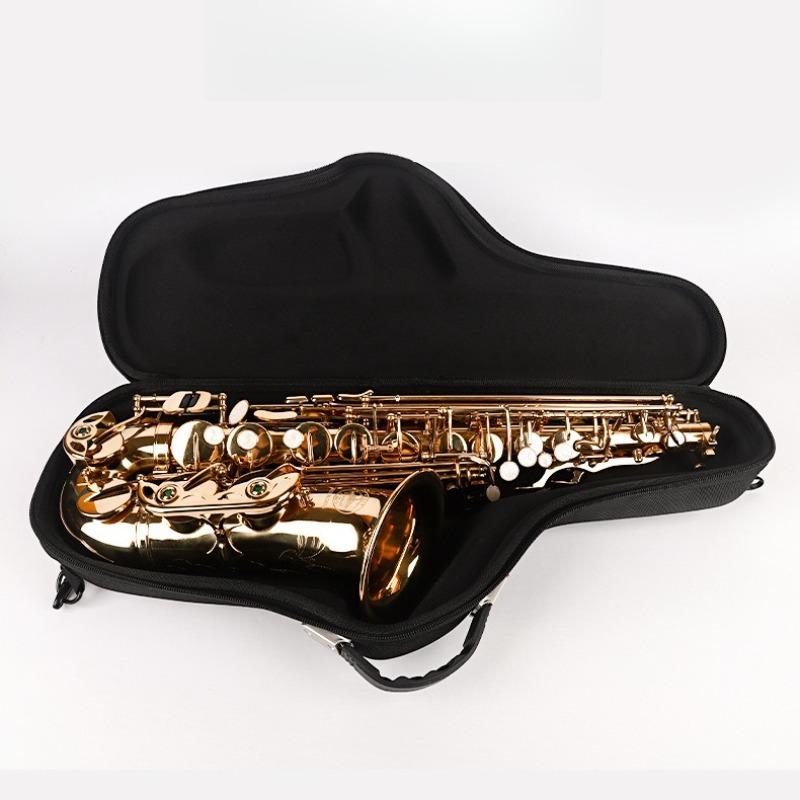 옥스포드 천 알토 색소폰 가방 두꺼운 충격 방지 휴대용 - Musical Instrument Bag 리뷰 및 가격
